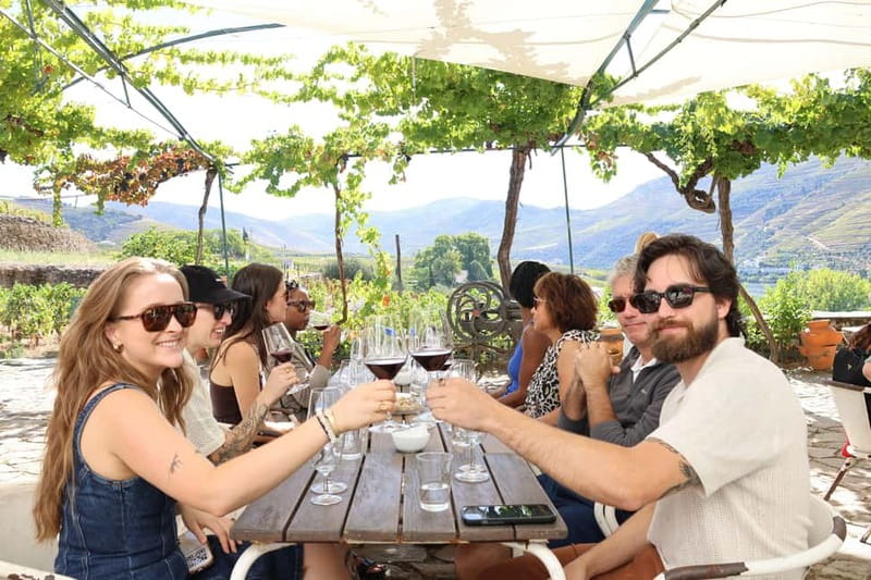 Porto: Douro Valley with Small Wineries, Lunch and Boat Tour - The best parts of the day at a glance