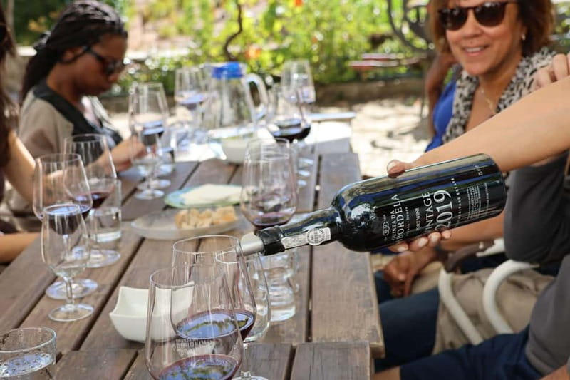 Porto: Douro Valley with Small Wineries, Lunch and Boat Tour - Why small wineries change the feel of the Douro
