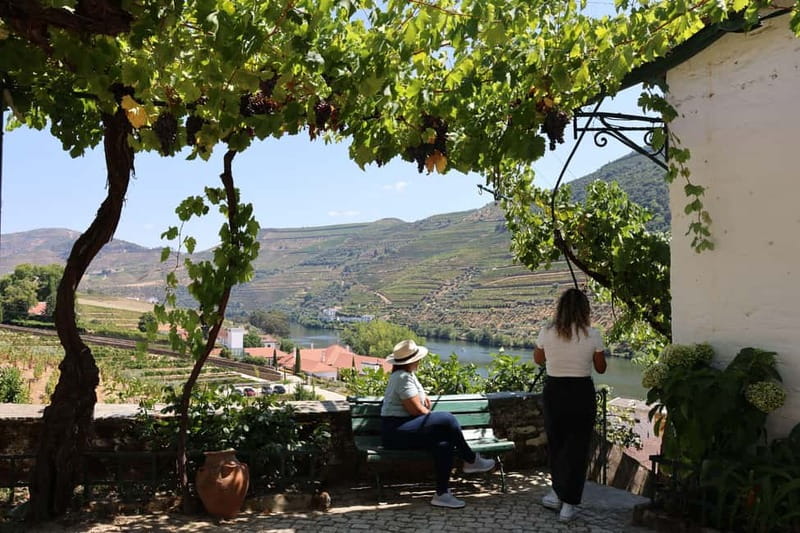 Porto: Douro Valley with Small Wineries, Lunch and Boat Tour - Driving the N222 through the Douro Valley
