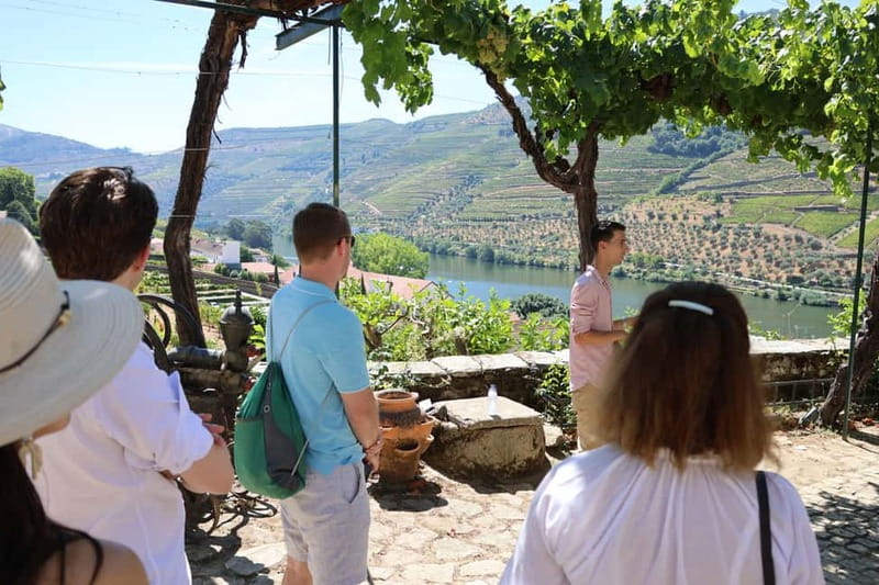 Porto: Douro Valley with Small Wineries, Lunch and Boat Tour - The second winery and the final tasting
