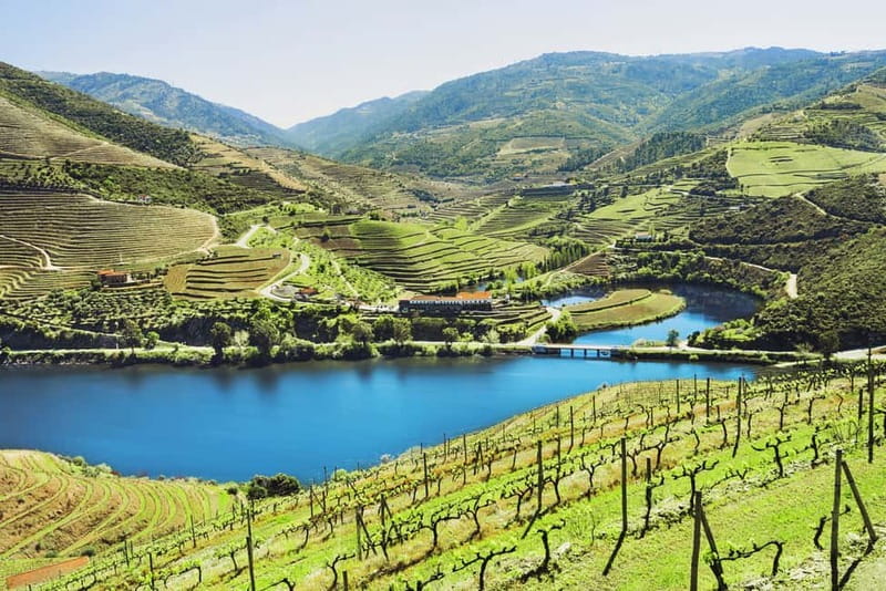Porto: Douro Wine Tour with Lunch and River Cruise - The essential points at a glance