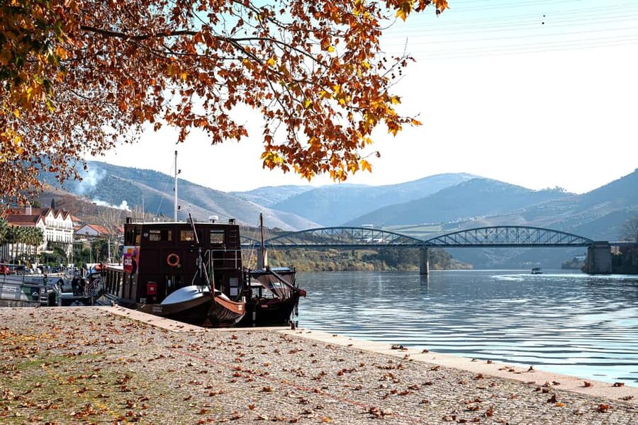 Porto: Douro Wine Tour with Lunch and River Cruise - First winery: Port and DOC Douro wines