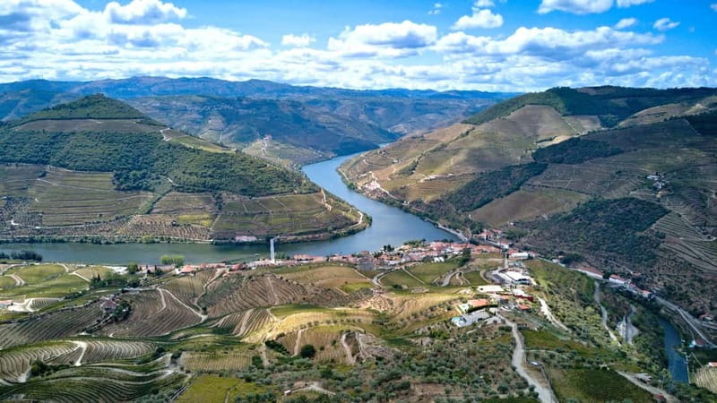 Porto: Douro Wine Tour with Lunch and River Cruise - The N222 and the valley viewpoints