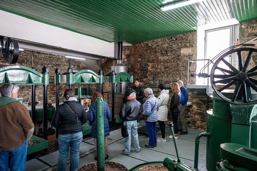 Porto: Douro Wine Tour with Lunch and River Cruise - The second winery: compare the wines
