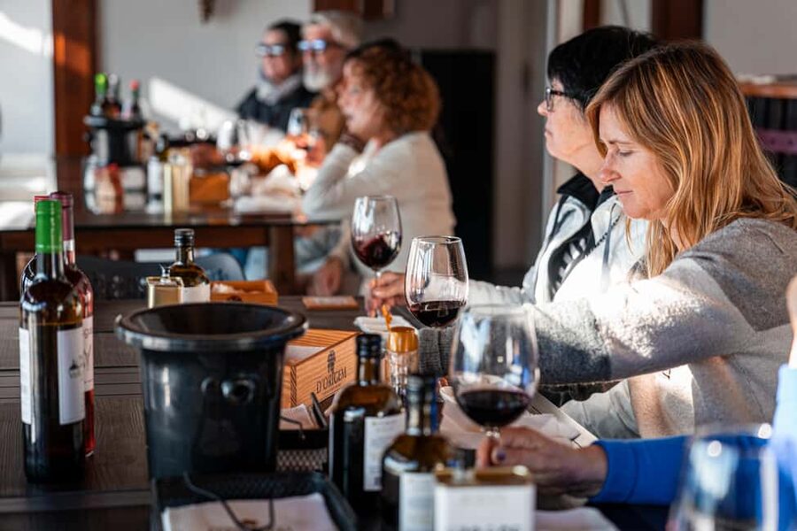 Porto: Douro Wine Tour with Lunch and River Cruise - Returning to Porto after a long day