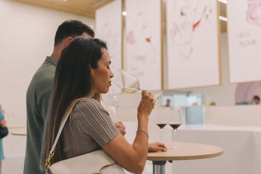 Porto: Entry Ticket at WOW - The Wine Experience Museum - Portugal’s wine regions in one museum