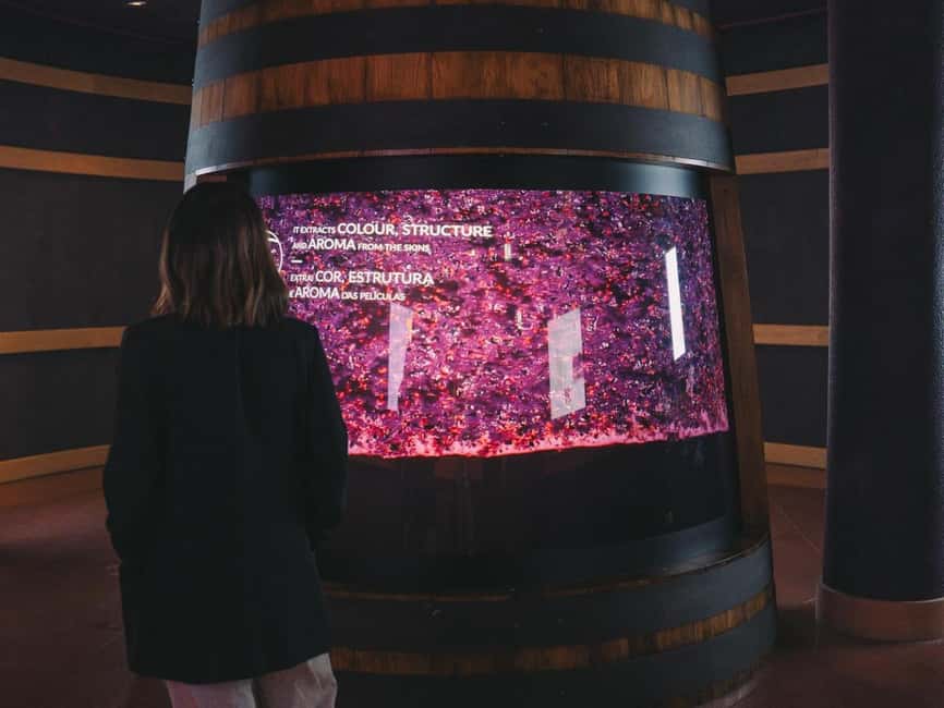 Porto: Entry Ticket at WOW - The Wine Experience Museum - Interactive exhibits and aroma stations