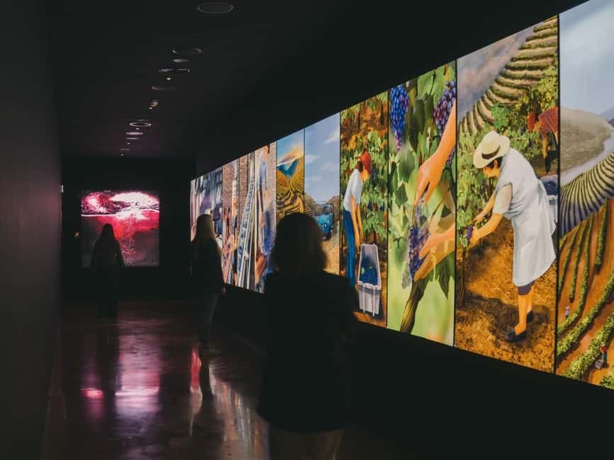 Porto: Entry Ticket at WOW - The Wine Experience Museum - Is the $20 ticket good value?
