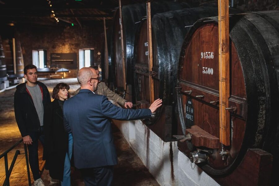 Porto: Fonseca Cellar Tour & Fado Show with Optional Dinner - Who should book this Porto evening?