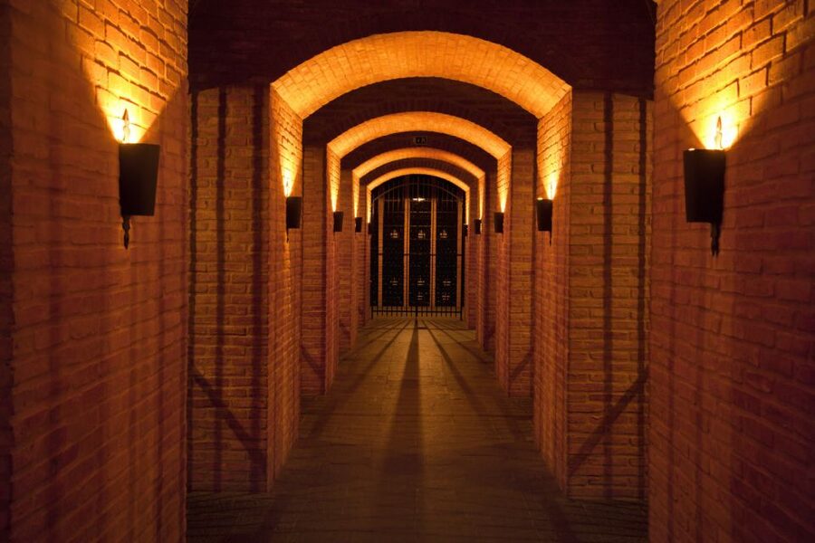 Porto: Graham's Port Lodge Tour with Premium Wine Tastings - Inside the 1890 Graham’s Port Lodge