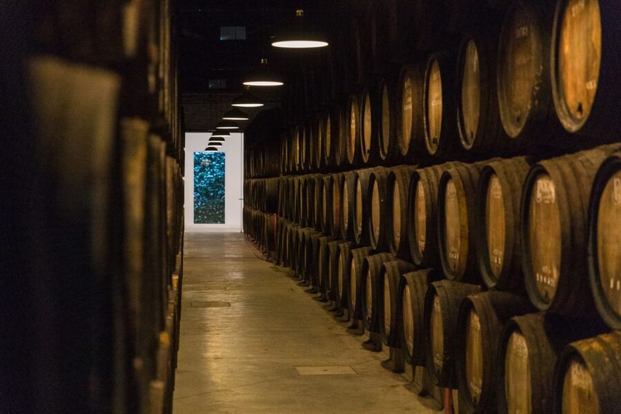 Porto: Guided Tour and Tasting of 3 Port Wines at Poças - The tasting room and three Port styles