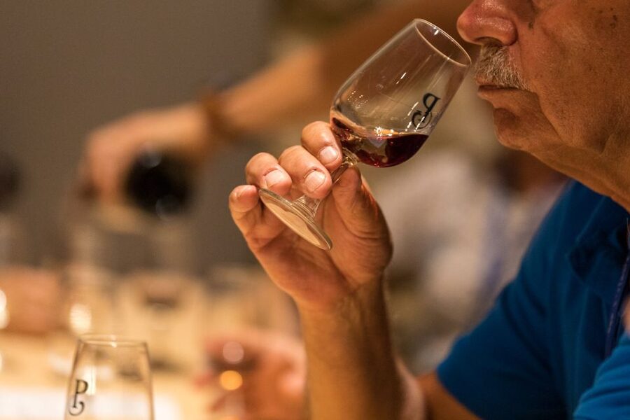 Porto: Guided Tour and Tasting of 3 Port Wines at Poças - Who will enjoy this Poças visit?
