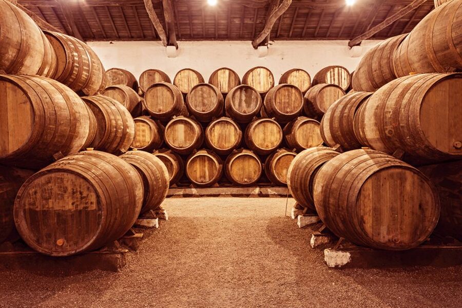 Porto: Hop-on Hop-off Bus with Optional Cruise & Wine Cellar - Port wine tastings and cellar visits