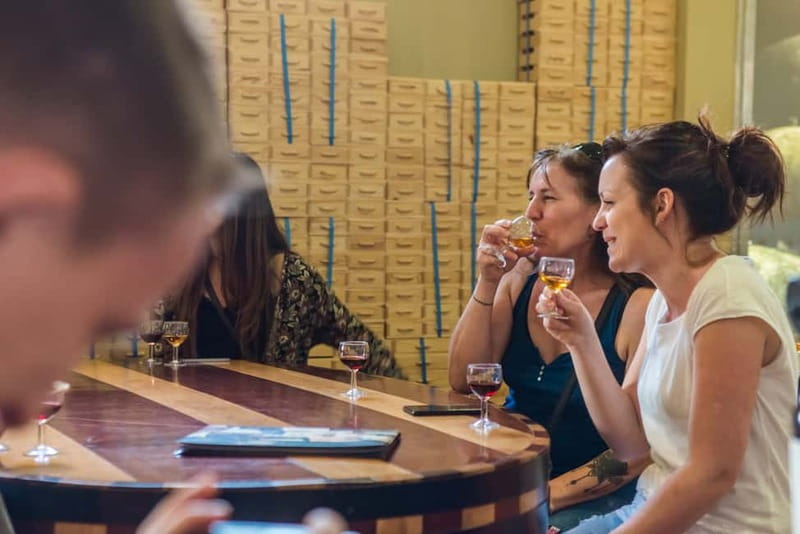 Porto: Magic Train Tour and Port Wine Cellar with Tastings - Key points to know before you book