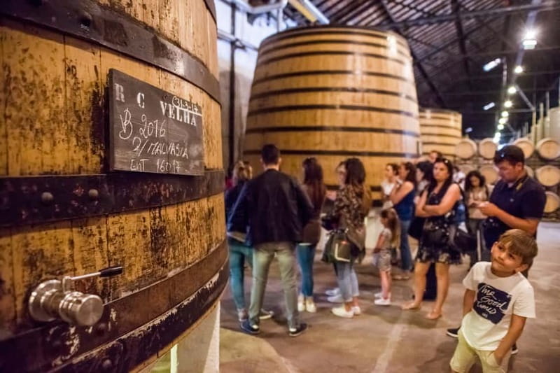 Porto: Magic Train Tour and Port Wine Cellar with Tastings - Inside Real Companhia Velha’s old cellar