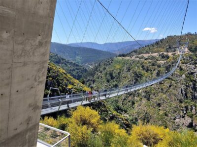 Paiva Walkways and Suspension Bridge Hike with Lunch