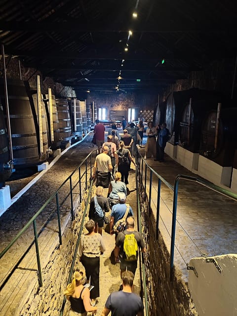 Porto: Port and Douro Wine Walking Tour with 9 Tastings - The first hour at Vasques De Carvalho