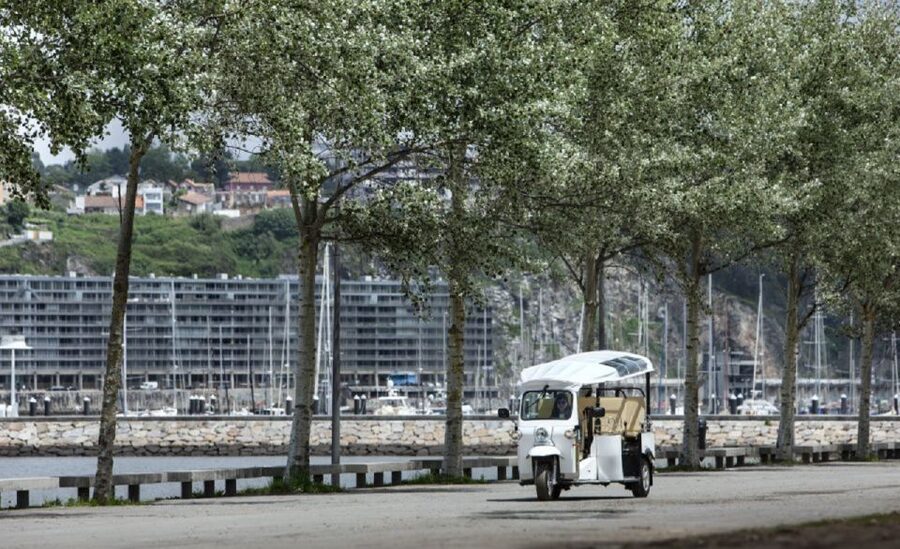 Porto: Private Sightseeing Tour by Electric Tuk Tuk - Palácio da Bolsa and Porto’s trading past