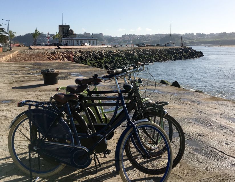 Porto: Riverside Panoramic E-Bike Tour - Foz do Douro and Porto’s meeting with the sea