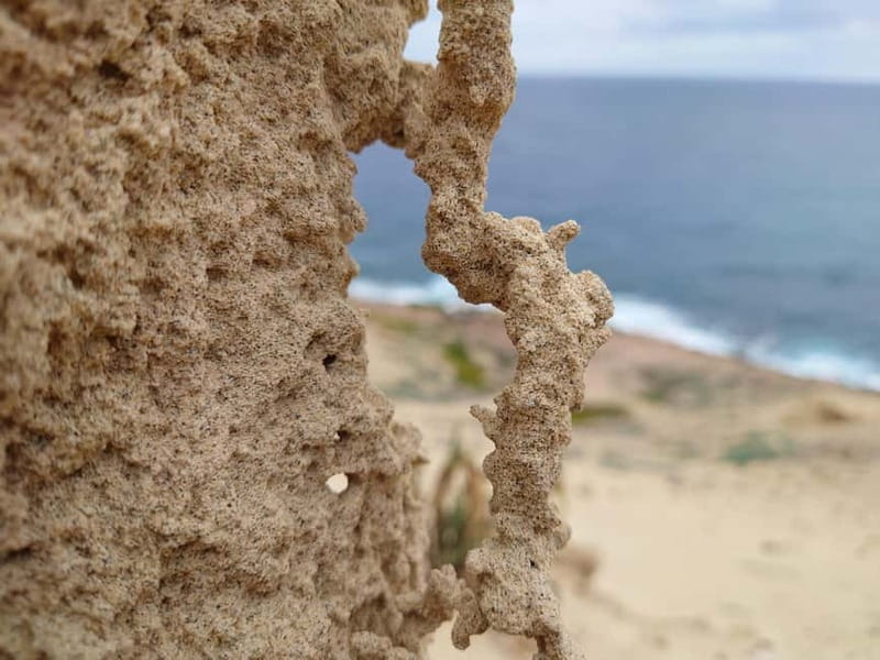 Porto Santo: Island Highlights 4x4 Tour with Hotel Transfers - Pico das Eiras and the Organ Pipes