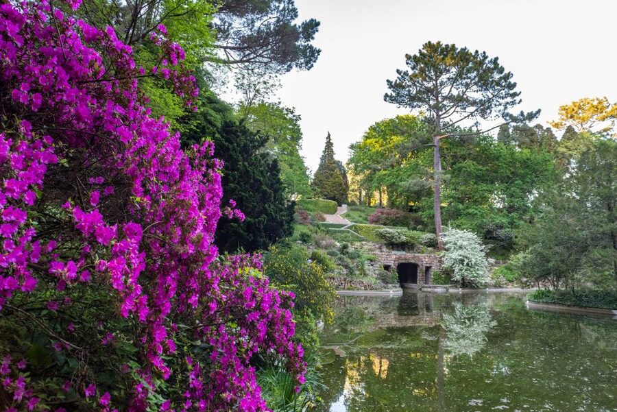 Porto: Serralves Foundation All Access Pass - Food, rest stops, and a sensible route
