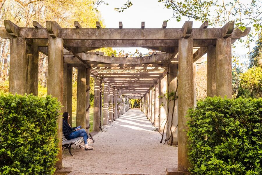 Porto: Serralves Foundation All Access Pass - What the $28 ticket really buys you