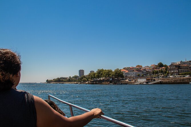 Porto Six Bridges Panoramic Cruise on the Douro River - Seating, comfort, and the view from the boat