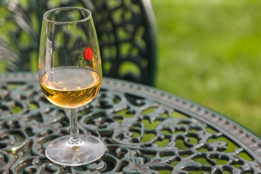 Porto: Taylor's Port Cellars & Tasting - The Three-Port Tasting In The Garden