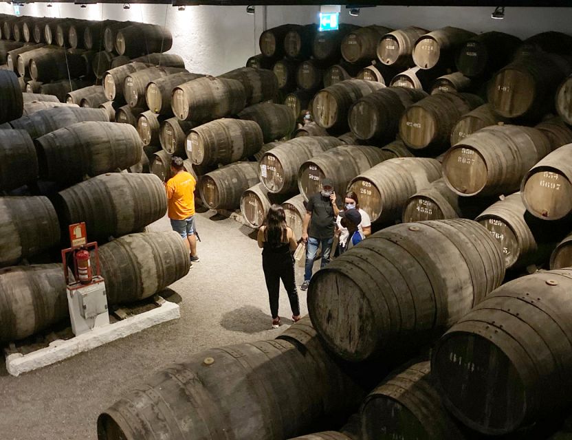Porto: Wine Tasting with Tapas Walking Tour - Practical tips before you go