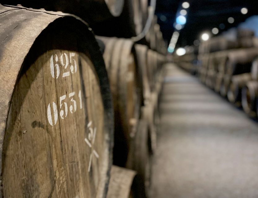 Porto: Wine Tasting with Tapas Walking Tour - What the guides add to the experience