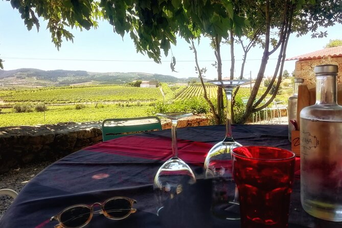 Premium Douro Valley Small-Group Tour, Wine Tasting, Lunch & Boat - Quinta do Panascal and the first Port tasting