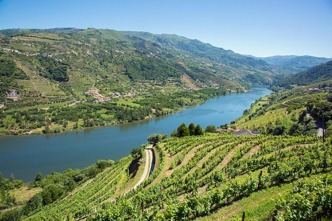 Premium Douro Valley Small-Group Tour, Wine Tasting, Lunch & Boat - Is $181.39 a fair price?