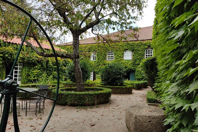 Premium Douro Valley Small-Group Tour, Wine Tasting, Lunch & Boat - Lunch at Casa dos Barros in the vineyard country