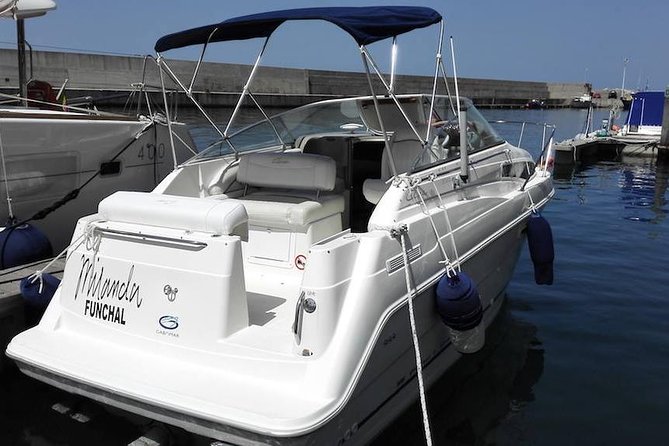 Private Dolphin and Whale Watching Tour in Madeira - What the private boat changes