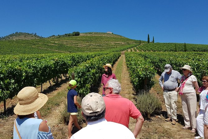 Private Douro Valley Wine Tour: 2 Wine Estates, Lunch and Cruise - What Makes This Douro Tour Worth Considering