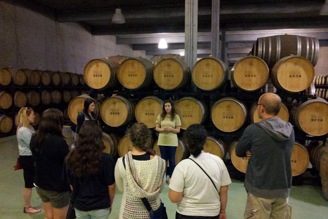 Private Douro Valley Wine Tour: 2 Wine Estates, Lunch and Cruise - Leaving Porto for the Douro Valley