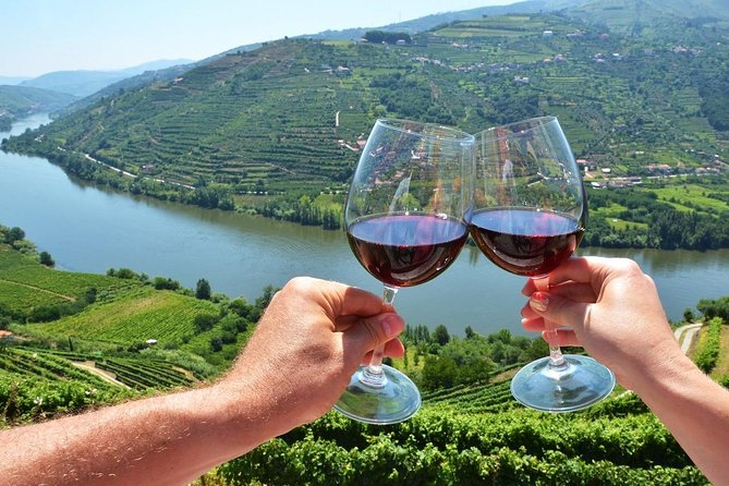 Private Douro Valley Wine Tour: 2 Wine Estates, Lunch and Cruise - A Viewpoint Before Pinhão