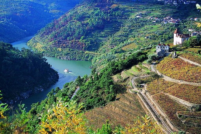 Private Douro Valley Wine Tour: 2 Wine Estates, Lunch and Cruise - The Private Guide Makes the Difference