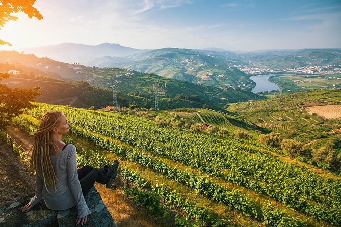 Private Douro Valley Wine Tour: 2 Wine Estates, Lunch and Cruise - Why the Douro Valley Feels Special