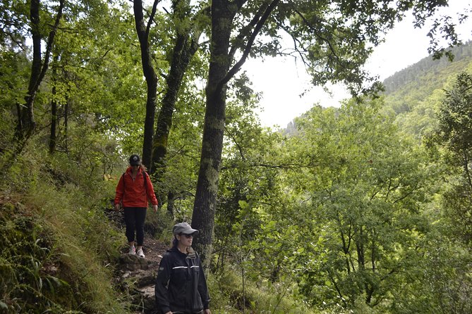 Private Geres National Park Tour with Lunch and Transfers - Who should book this day trip