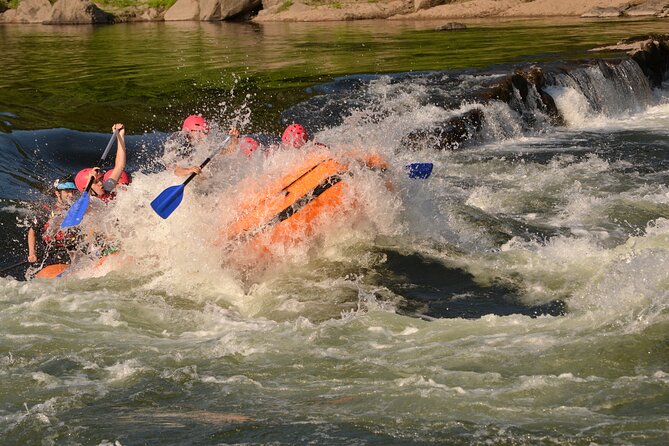 Private Rafting Experience in Melgaço - The food and Alvarinho finish