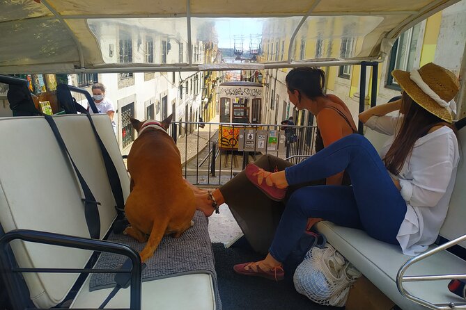 Private tuk tuk tour in old city Lisbon (Standard-1h30) - Fifteen minutes at Miradouro das Portas do Sol