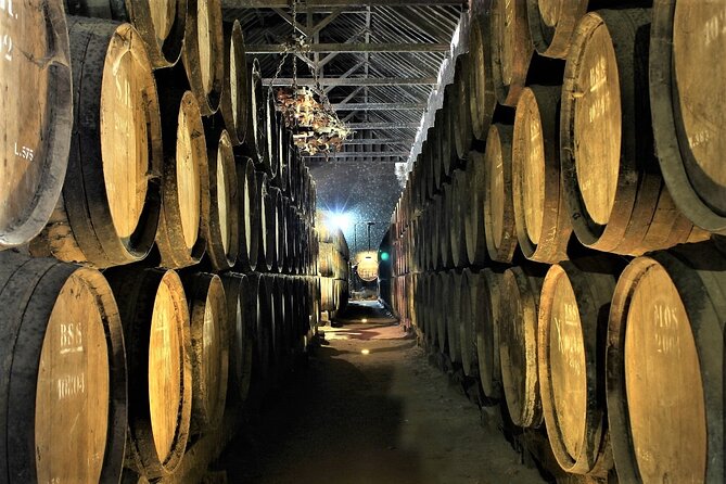 Private Wine Tasting in the Setúbal Wine Region, from Lisbon - Quinta do Alcube shows the working side of wine