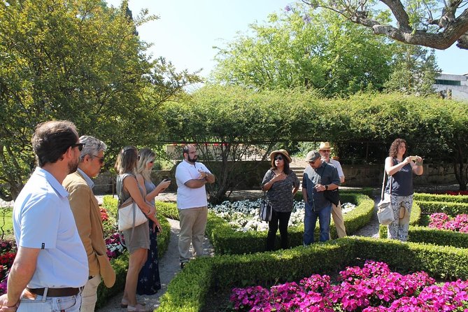 Private Wine Tasting in the Setúbal Wine Region, from Lisbon - Casa da Mãe da Rota de Vinhos puts the region in one place