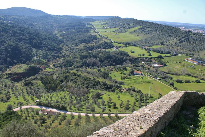 Private Wine Tasting in the Setúbal Wine Region, from Lisbon - José Maria da Fonseca gives the day its historical anchor