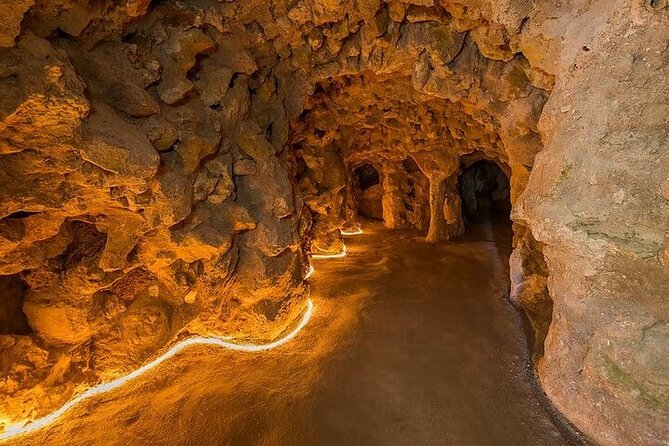 Quinta da Regaleira Skip the Line Tickets with Host - The Initiation Well and its spiral descent