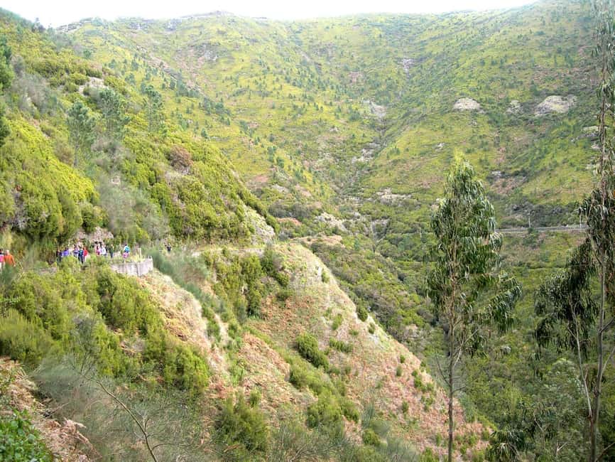 Rabaçal: 25 Fontes & Risco Levada Transfer Self-guided Hike - Key points at a glance