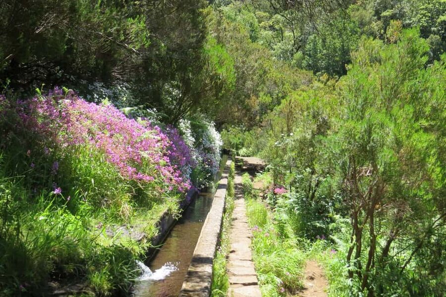 Rabaçal: 25 Fontes & Risco Levada Transfer Self-guided Hike - What the $38 price includes, and what it does not