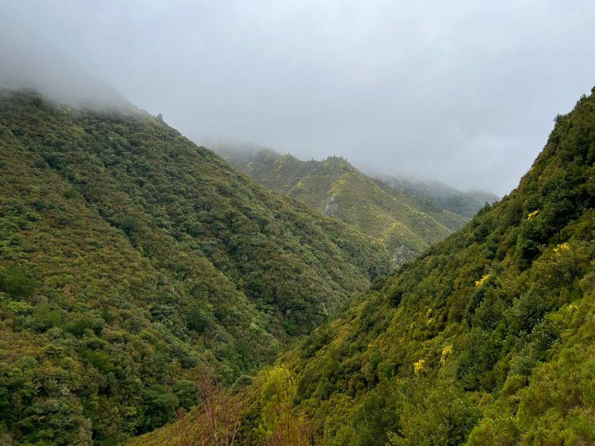 Rabaçal: 25 Fontes & Risco Levada Transfer Self-guided Hike - What this Madeira hiking day really offers