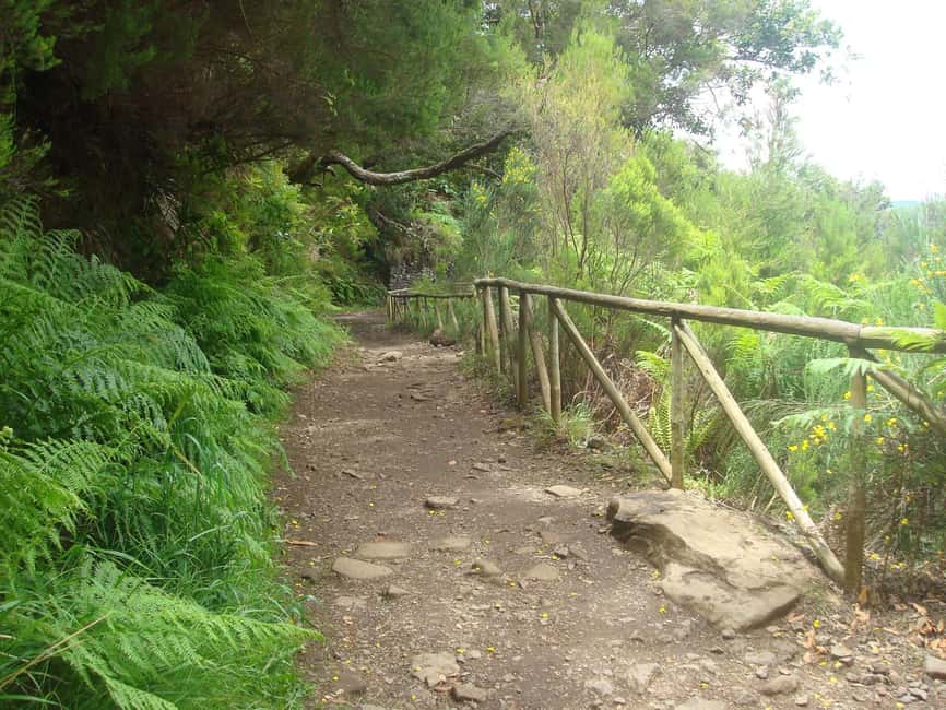 Rabaçal: 25 Fontes & Risco Levada Transfer Self-guided Hike - Getting started at the 25 Fontes parking area